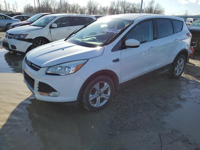 Photo 0 VIN: 1FMCU0G97EUD38478 - FORD ESCAPE SE 