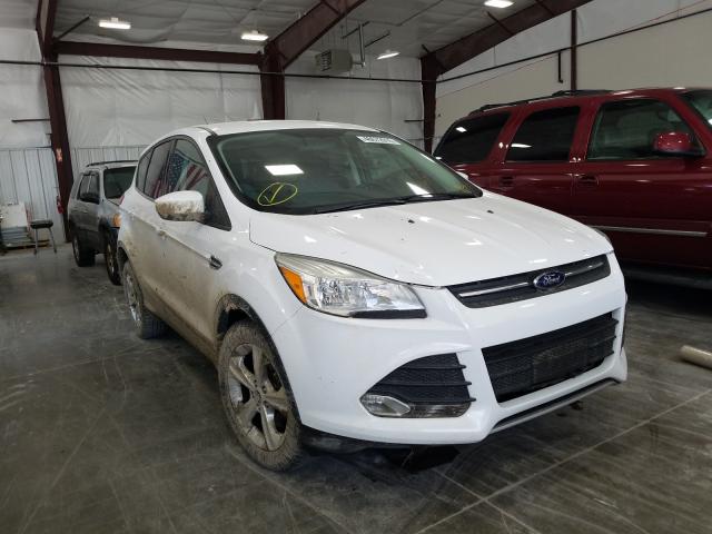 Photo 0 VIN: 1FMCU0G97EUD45396 - FORD ESCAPE SE 