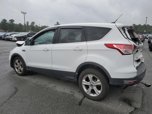 Photo 1 VIN: 1FMCU0G97EUD73067 - FORD ESCAPE SE 