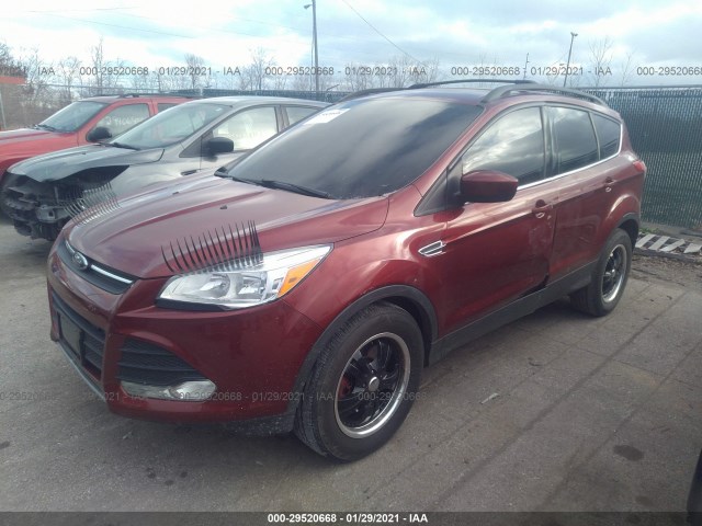 Photo 1 VIN: 1FMCU0G98EUB50651 - FORD ESCAPE 