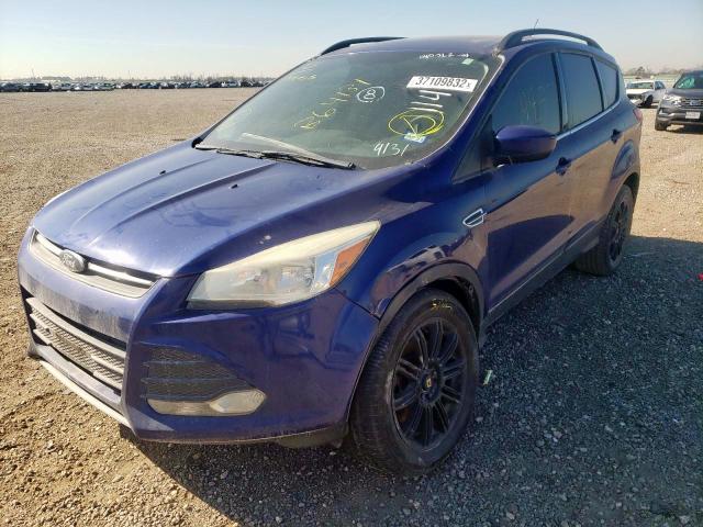 Photo 8 VIN: 1FMCU0G98EUB64131 - FORD ESCAPE SE 