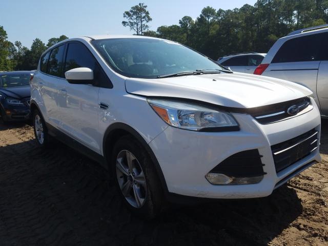 Photo 0 VIN: 1FMCU0G98EUD44791 - FORD ESCAPE SE 