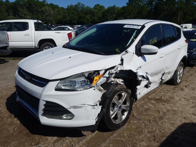 Photo 1 VIN: 1FMCU0G98EUD44791 - FORD ESCAPE SE 