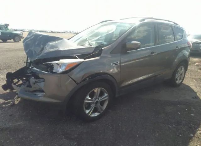 Photo 1 VIN: 1FMCU0G98EUD66015 - FORD ESCAPE 