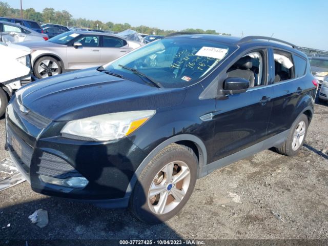 Photo 1 VIN: 1FMCU0G98EUE47838 - FORD ESCAPE 