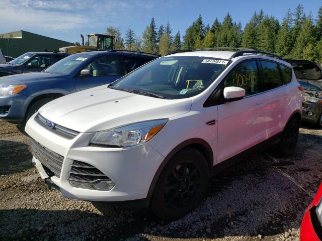 Photo 1 VIN: 1FMCU0G98EUE57561 - FORD ESCAPE SE 