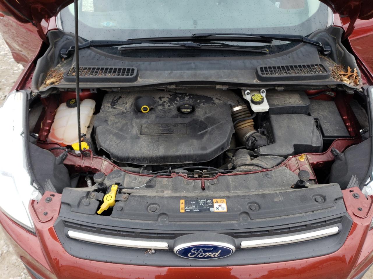 Photo 10 VIN: 1FMCU0G98GUB43749 - FORD ESCAPE 