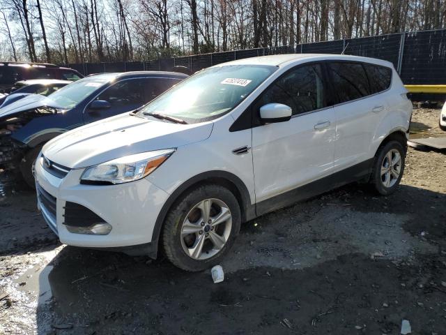 Photo 0 VIN: 1FMCU0G99DUA41811 - FORD ESCAPE SE 