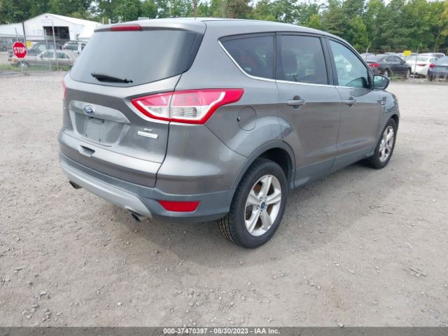 Photo 3 VIN: 1FMCU0G99EUA06350 - FORD ESCAPE 