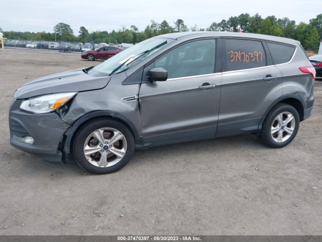 Photo 5 VIN: 1FMCU0G99EUA06350 - FORD ESCAPE 