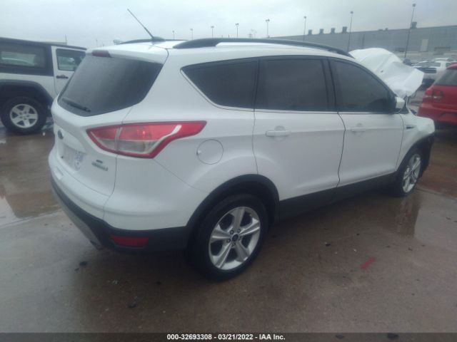 Photo 3 VIN: 1FMCU0G99EUB07775 - FORD ESCAPE 