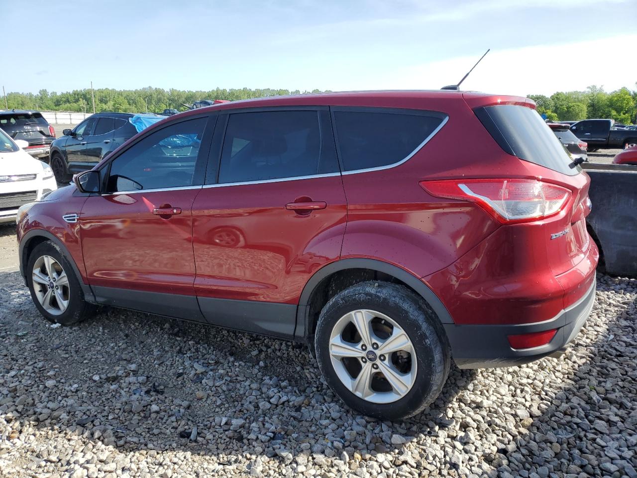 Photo 1 VIN: 1FMCU0G99EUE57407 - FORD ESCAPE 