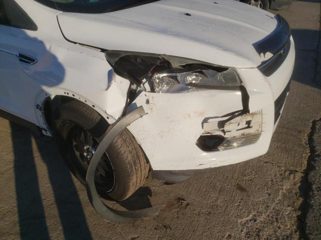 Photo 8 VIN: 1FMCU0G99FUA81597 - FORD ESCAPE 