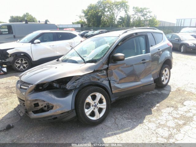 Photo 1 VIN: 1FMCU0G9XEUA42628 - FORD ESCAPE 