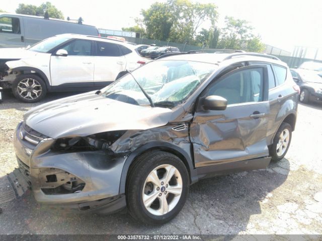 Photo 5 VIN: 1FMCU0G9XEUA42628 - FORD ESCAPE 