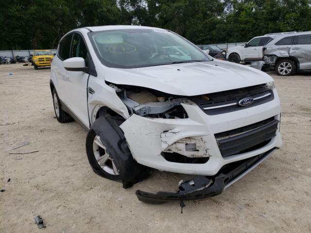 Photo 0 VIN: 1FMCU0G9XEUA54648 - FORD ESCAPE SE 