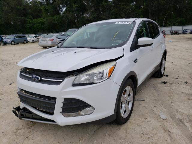 Photo 1 VIN: 1FMCU0G9XEUA54648 - FORD ESCAPE SE 