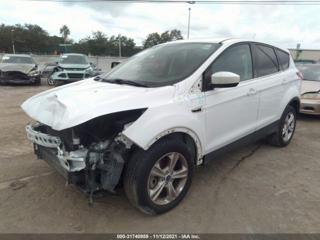 Photo 1 VIN: 1FMCU0G9XEUB23015 - FORD ESCAPE 