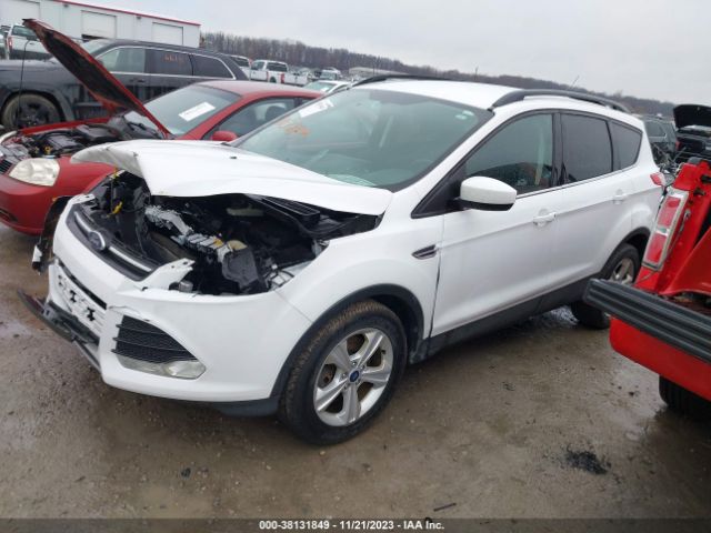 Photo 1 VIN: 1FMCU0G9XEUC77918 - FORD ESCAPE 