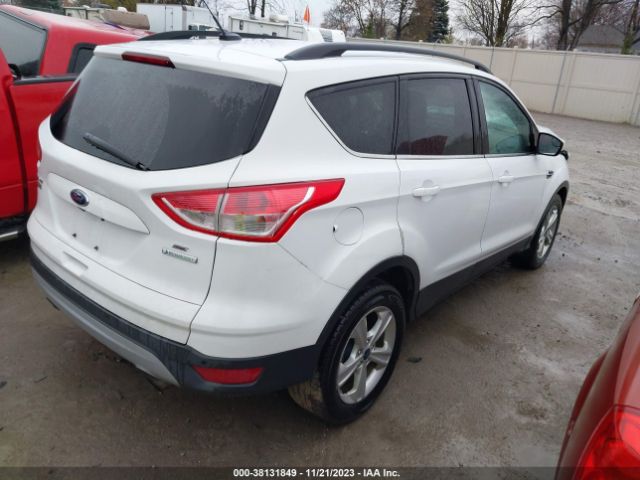 Photo 3 VIN: 1FMCU0G9XEUC77918 - FORD ESCAPE 