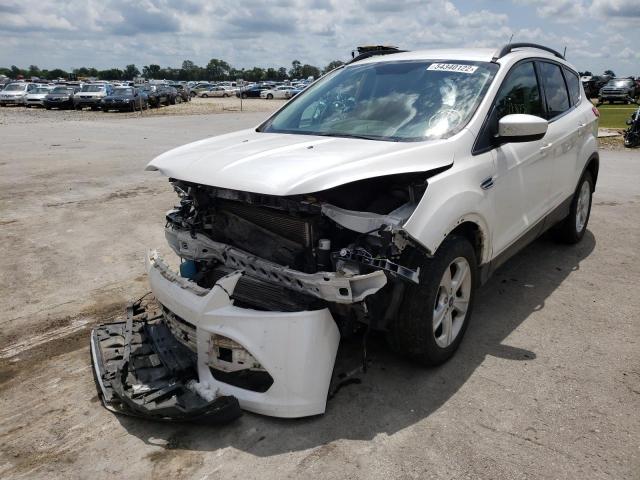 Photo 1 VIN: 1FMCU0G9XEUD84855 - FORD ESCAPE SE 