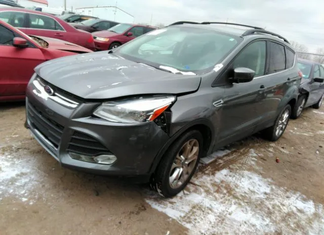 Photo 1 VIN: 1FMCU0G9XEUD99548 - FORD ESCAPE 