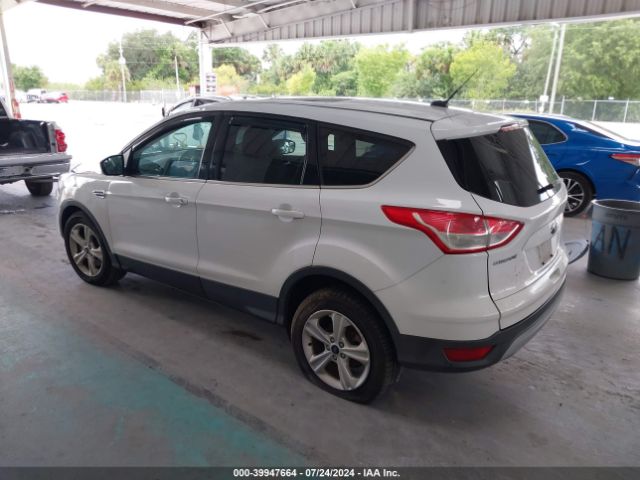 Photo 2 VIN: 1FMCU0G9XGUC13123 - FORD ESCAPE 