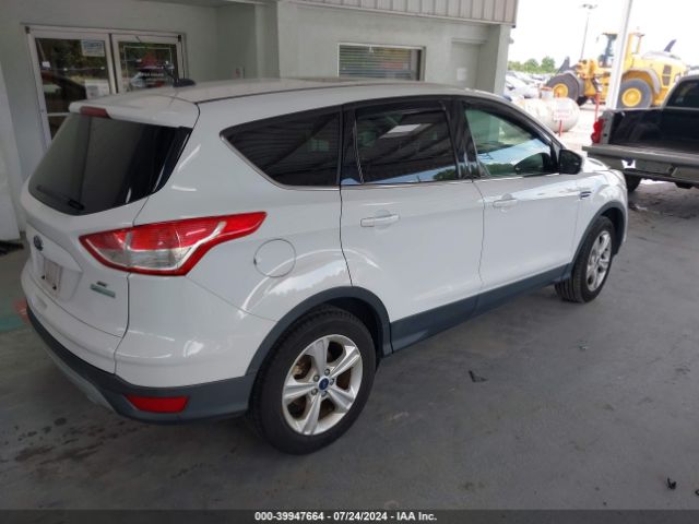 Photo 3 VIN: 1FMCU0G9XGUC13123 - FORD ESCAPE 