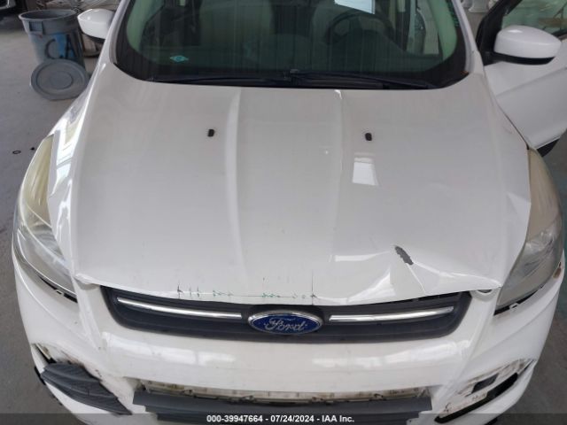 Photo 9 VIN: 1FMCU0G9XGUC13123 - FORD ESCAPE 