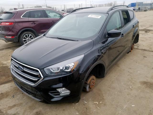 Photo 1 VIN: 1FMCU0GD1HUA79169 - FORD ESCAPE SE 