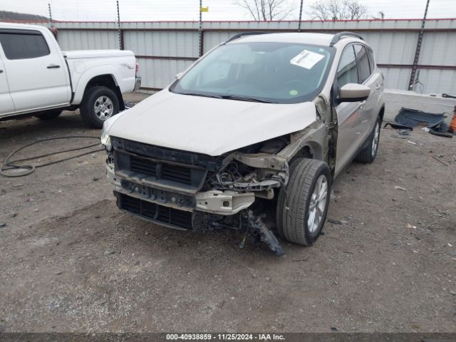 Photo 5 VIN: 1FMCU0GD3HUB99894 - FORD ESCAPE 