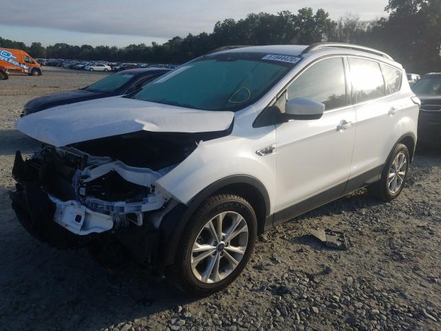 Photo 1 VIN: 1FMCU0GD4HUD72287 - FORD ESCAPE 