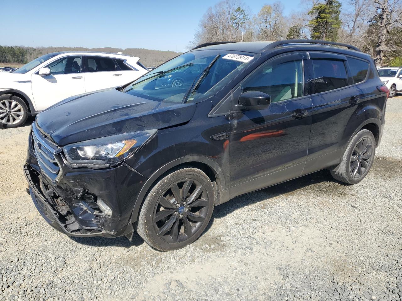 Photo 0 VIN: 1FMCU0GD4KUB09756 - FORD ESCAPE 