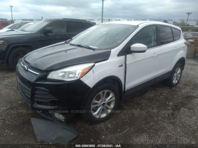 Photo 1 VIN: 1FMCU0GD4KUB24726 - FORD ESCAPE 