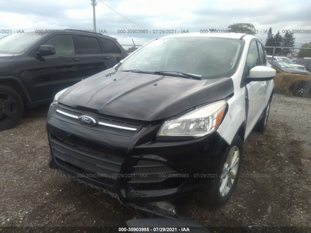 Photo 5 VIN: 1FMCU0GD4KUB24726 - FORD ESCAPE 