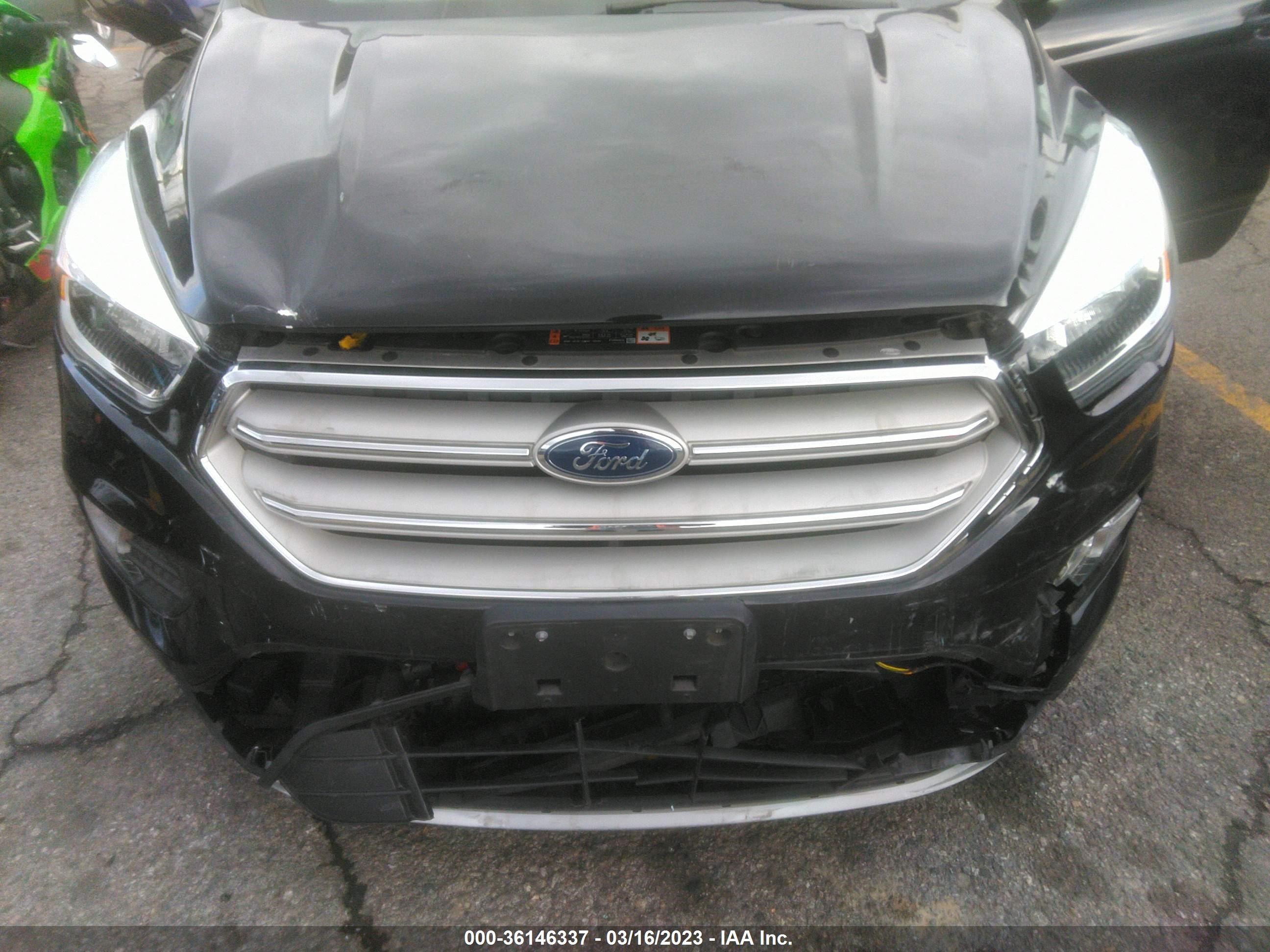 Photo 5 VIN: 1FMCU0GD5KUB79184 - FORD ESCAPE 