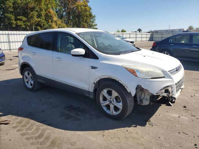 Photo 3 VIN: 1FMCU0GX0DUA80480 - FORD ESCAPE SE 