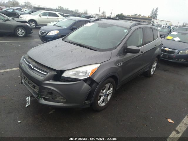 Photo 1 VIN: 1FMCU0GX0DUC16011 - FORD ESCAPE 