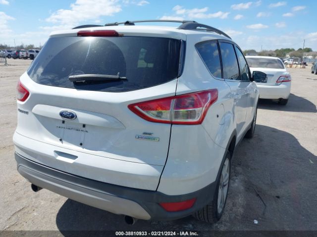 Photo 3 VIN: 1FMCU0GX0DUC49168 - FORD ESCAPE 