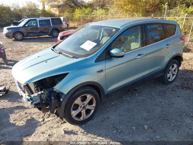 Photo 1 VIN: 1FMCU0GX0DUC53446 - FORD ESCAPE 