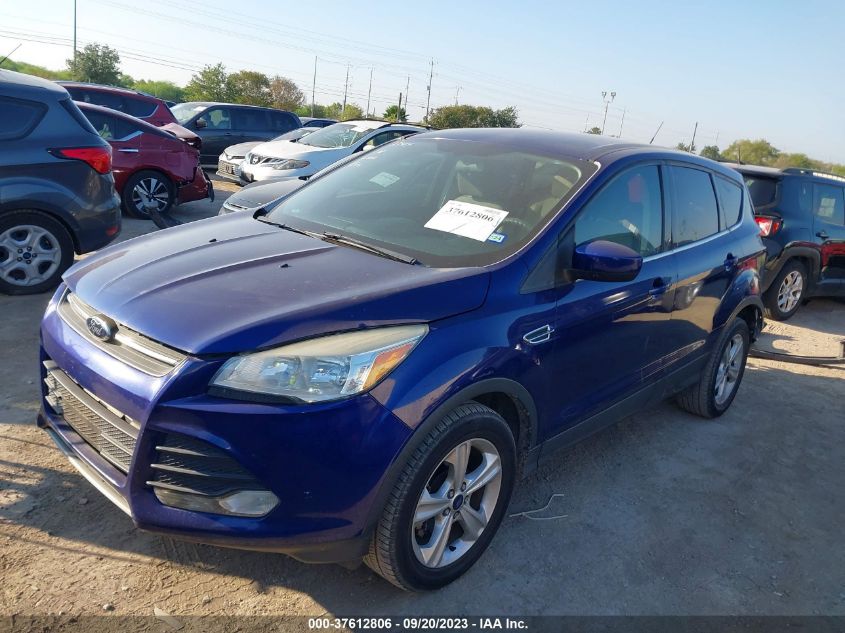 Photo 14 VIN: 1FMCU0GX0DUD37637 - FORD ESCAPE 