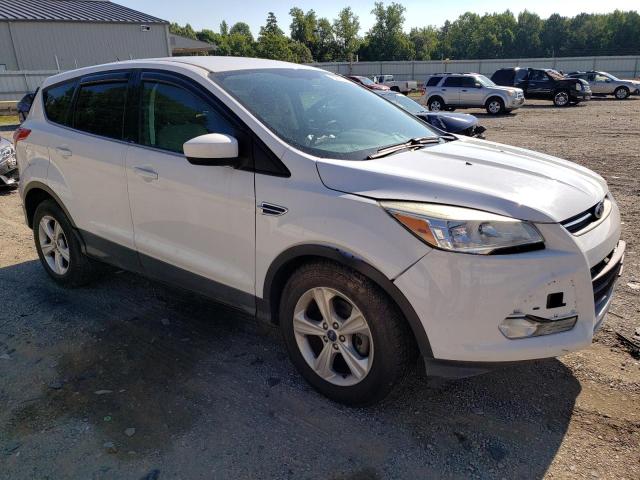 Photo 3 VIN: 1FMCU0GX0DUD91150 - FORD ESCAPE 