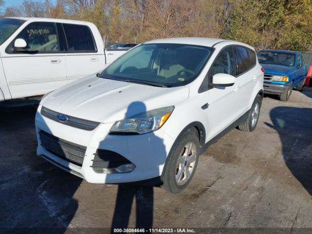 Photo 1 VIN: 1FMCU0GX0EUA05621 - FORD ESCAPE 