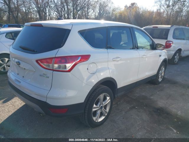 Photo 3 VIN: 1FMCU0GX0EUA05621 - FORD ESCAPE 