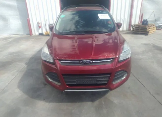 Photo 5 VIN: 1FMCU0GX0EUA16909 - FORD ESCAPE 