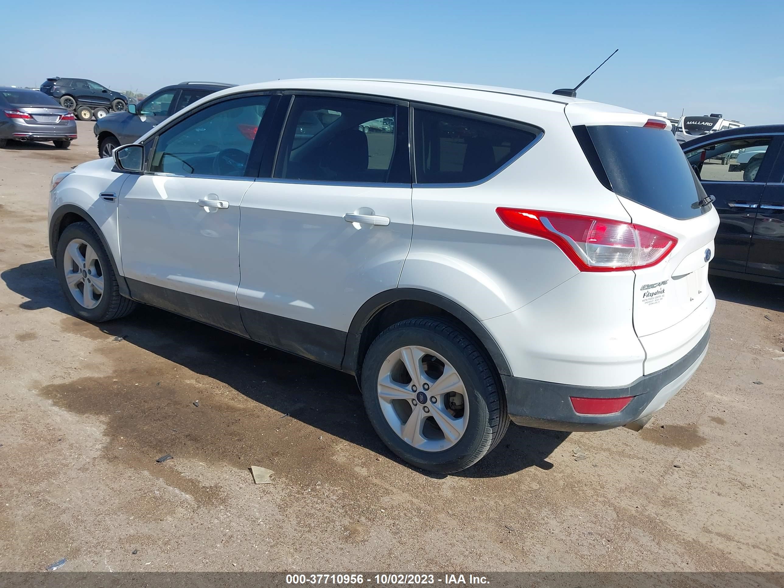 Photo 2 VIN: 1FMCU0GX0EUA63910 - FORD ESCAPE 