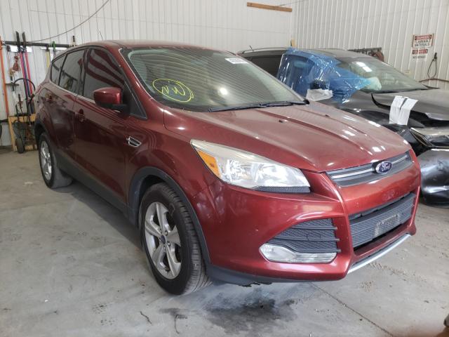 Photo 0 VIN: 1FMCU0GX0EUB13012 - FORD ESCAPE SE 