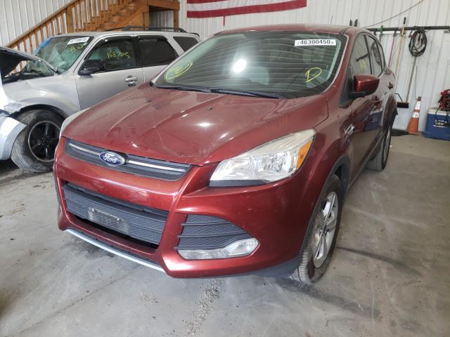 Photo 1 VIN: 1FMCU0GX0EUB13012 - FORD ESCAPE SE 