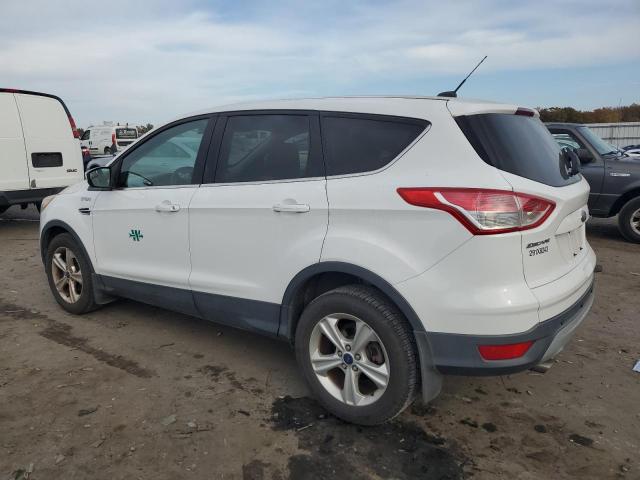 Photo 1 VIN: 1FMCU0GX0EUB40968 - FORD ESCAPE SE 