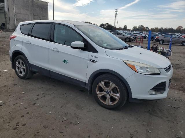 Photo 3 VIN: 1FMCU0GX0EUB40968 - FORD ESCAPE SE 